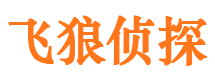 莆田市调查公司